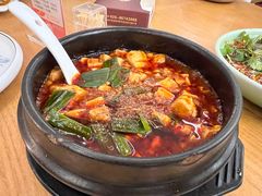-陈麻婆豆腐总店