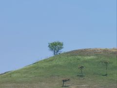 -恋山坝上草原