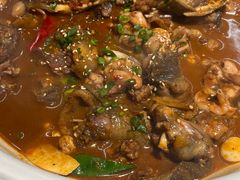 -甲鱼张甲鱼铺子(观沙岭店)