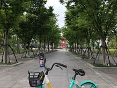 -八大山人梅湖景区