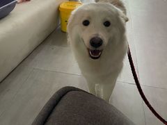 -佳雯宠物医院(四明中路分院)