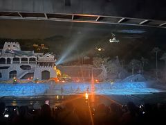 -三亚红色娘子军演艺公园景区