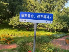 -香山公园