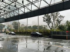 -新加坡瑞士史丹福酒店