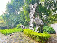 -深圳国际园林花卉博览园