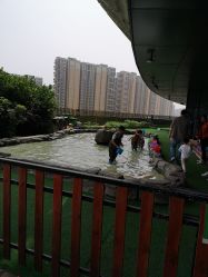 点击看大图 -可可天空农场(中大店)