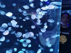 -杭州海底世界