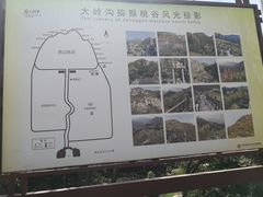 -大岭沟猕猴桃谷风景区