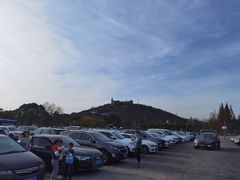 -上海佘山国家森林公园东门地面停车场