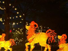 -文华公园(禅城区)