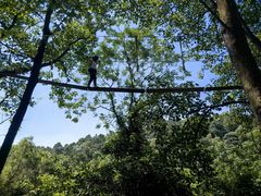 -芦仙山景区-飞越丛林探险乐园