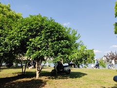-金银湖国家城市湿地公园