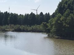 -上海海湾国家森林公园