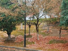 -南山风景名胜区
