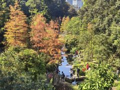 -云溪植物园