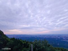-紫金山山顶公园