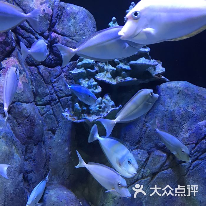 海濱城浩海立方海洋館