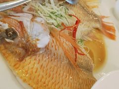 -顺峰海鲜酒楼(省府店)