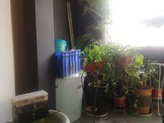 -乔家大院私房菜(海佳云顶店)