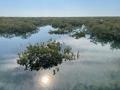 -北海金海湾红树林生态旅游区
