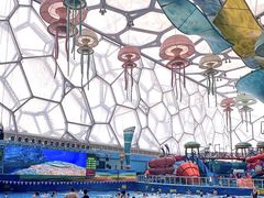 -水立方嬉水乐园