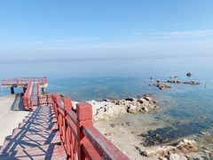 -养马岛旅游度假区