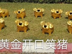 -清迈夜间动物园