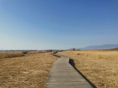 -野鸭湖国家湿地公园