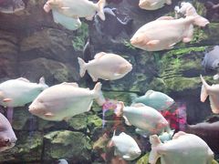 -成都浩海立方海洋公园