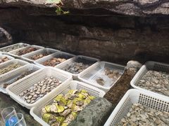 -郑庄脂渣海鲜楼(九水路店)