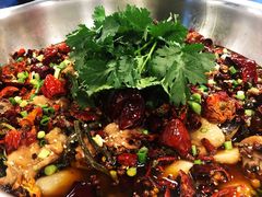 鸡-天治宣·野椒鸡(龙头寺总店)