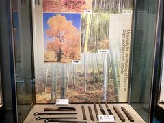 -长沙简牍博物馆