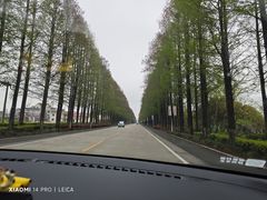 -东平国家森林公园