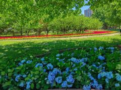 -朝阳公园游乐园