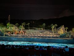 -三亚红色娘子军演艺公园景区
