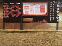 -大金山风景区