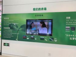 -安利上海体验馆