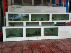 -阿古海鲜大排档(青澳湾自然之门六年好店)