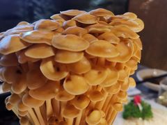 -麻路成都火锅(柏威年店)
