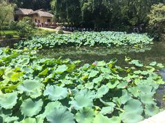 -韶山毛泽东同志故居