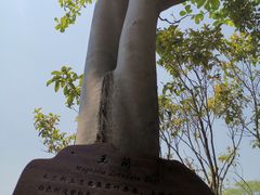 -东方假日田园-停车场