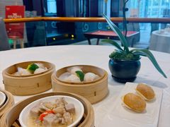 -观海海鲜(蛇口广场店)