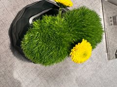 -南堂馆·新川菜(春熙路店)