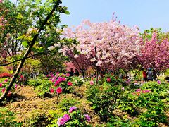 -江南大学(蠡湖校区)