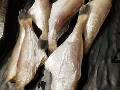 精品大耗儿鱼-莽子老火锅(大坪店)