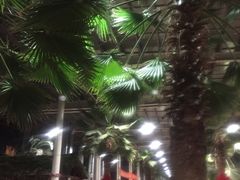-龙达温泉生态城