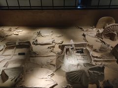 -洛阳周王城天子驾六博物馆