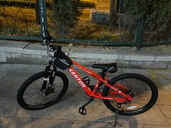 -道路口单车爱瓦士dahon大行