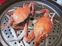 -海岛渔村大酒店(云霄路店)