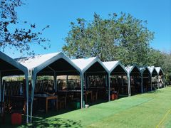 -亲兄弟真人CS团建拓展基地